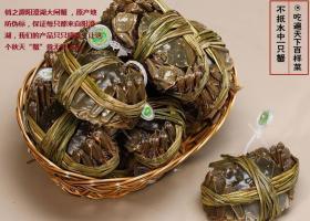 俏之源阳澄湖大闸蟹价格与厂家信息全解析 | 孜赫网络